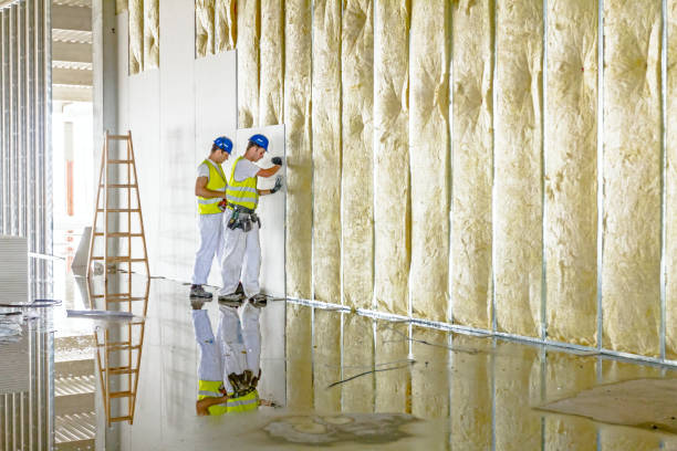 Best Insulation Maintenance and Repair in Mooreville, MS